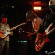 Spook the Horse band members performing live